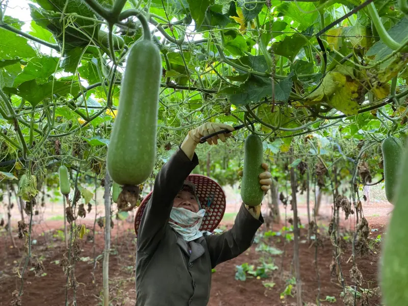 数控皮鞋冲孔机选型指南：从加工材料到孔位精度的综合评估